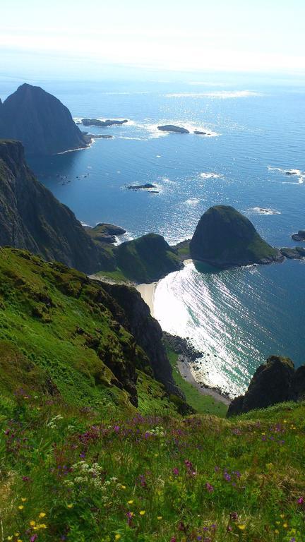 Lofoten Resort Sørvågen المظهر الخارجي الصورة